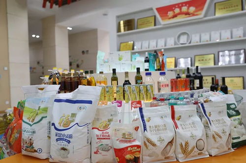 新津县委书记调研企业疫情防控工作,鼓励企业化危为机,服务社会